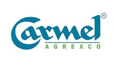 Carmel Logo